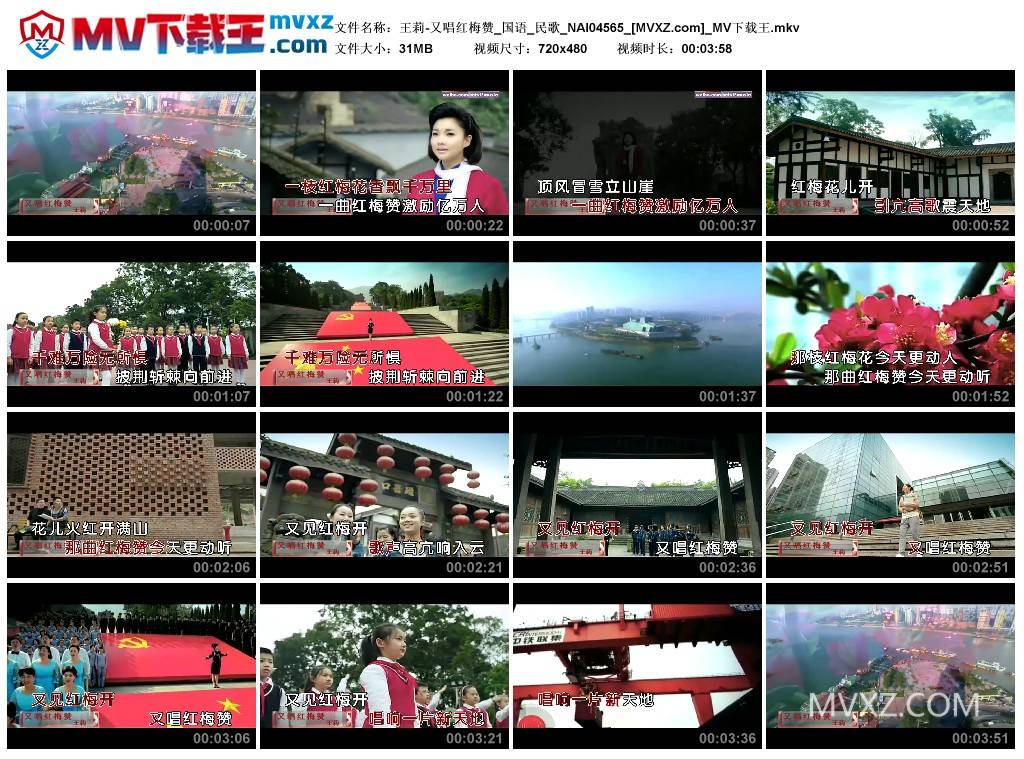 王莉-又唱红梅赞_国语_民歌_NAI04565